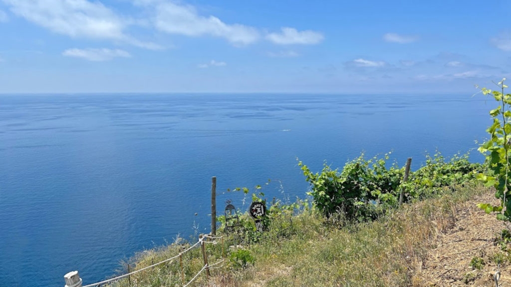 vigna trekking cinque terre